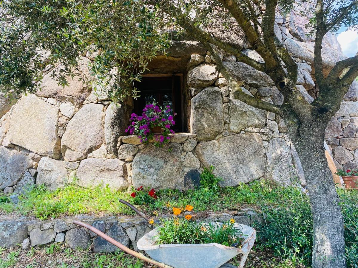 Il Nuraghe Del Lago Coghinas Oschiri Exterior foto