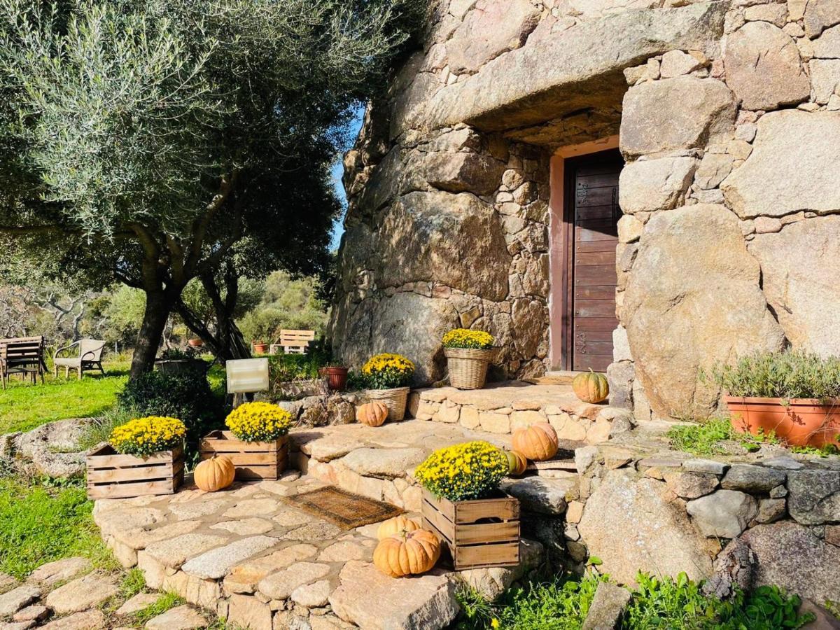 Il Nuraghe Del Lago Coghinas Oschiri Exterior foto