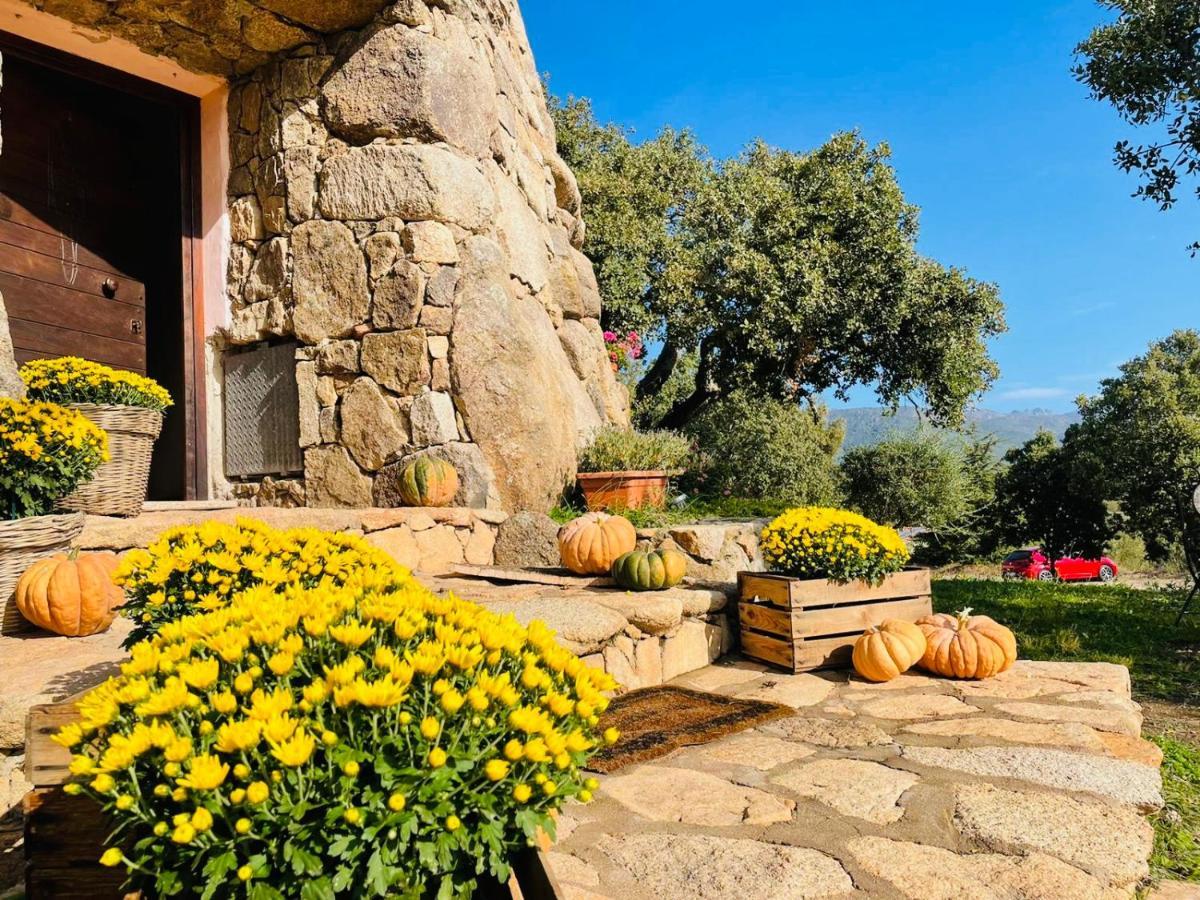 Il Nuraghe Del Lago Coghinas Oschiri Exterior foto