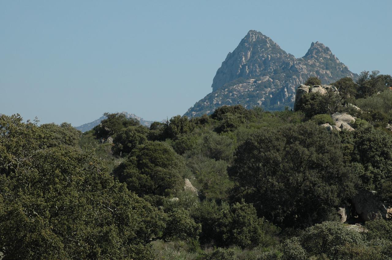 Il Nuraghe Del Lago Coghinas Oschiri Exterior foto